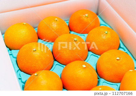 贈答用 の 箱入り みかん 【 柑橘類 の ふるさと納税 の イメージ 】 112707166