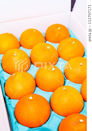 贈答用 の 箱入り みかん 【 柑橘類 の ふるさと納税 の イメージ 】 贈答用 の 箱入り みかん 【 柑橘類 の ふるさと納税 の イメージ 】 112707171