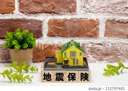 戸建て住宅の地震保険のイメージ 112707481