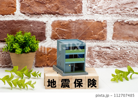 戸建て住宅の地震保険のイメージ 112707485