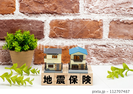 戸建て住宅の地震保険のイメージ 戸建て住宅の地震保険のイメージ 112707487