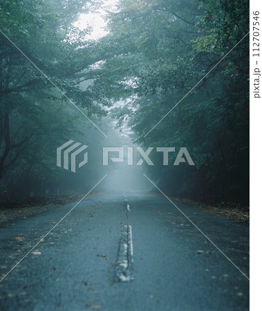 霧の中の道路 112707546