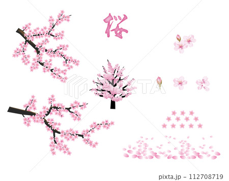 リアルな桜の素材セット 112708719