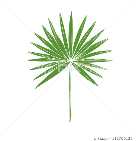 Tropical vector palm leaf illustration on isolated background. Beautiful botanical hand painted exotic element. For designers, spa decoration, postcards, wedding, greetings, wallpapers, wrapping Tropical vector palm leaf illustration on isolated background. Beautiful botanical hand painted exotic element. For designers, spa decoration, postcards, wedding, greetings, wallpapers, wrapping 112709129