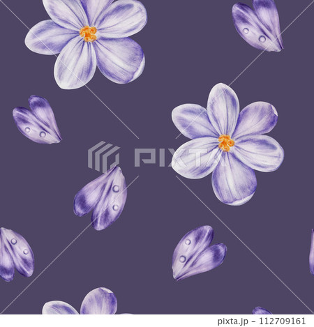 Watercolor seamless pattern with purple blooming crocus flower isolated on background. Spring and easter botanical hand painted saffron illustration. For designers, wedding, decoration, postcards, Watercolor seamless pattern with purple blooming crocus flower isolated on background. Spring and easter botanical hand painted saffron illustration. For designers, wedding, decoration, postcards, 112709161