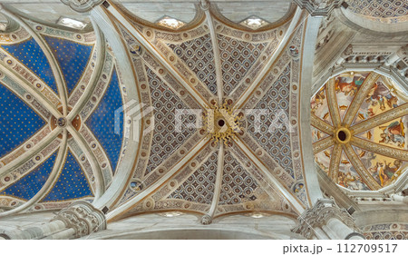 Charterhouse, the ceiling of main nave of the church 112709517