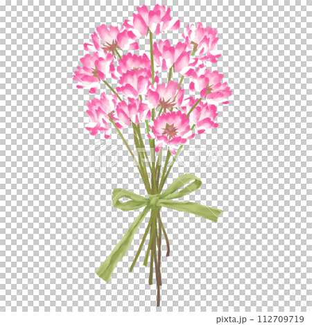 ラフィアで束ねたレンゲソウの花束　水彩タッチイラスト 112709719