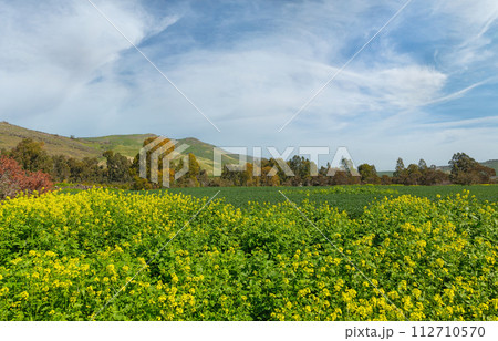autumn landscape on the Golan Heights in Israel autumn landscape on the Golan Heights in Israel 112710570