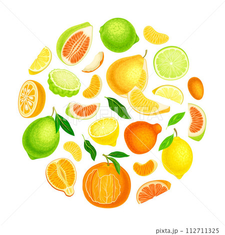 Citrus Fresh Juicy Bright Round Composition Design Vector Template 112711325