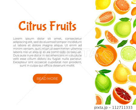 Citrus Fresh Juicy Bright Banner Design Vector Template 112711333