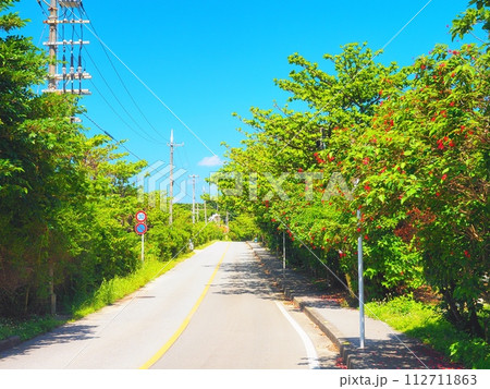 沖縄県伊計島 伊計ビーチへ向かう道 沖縄県伊計島 伊計ビーチへ向かう道 112711863