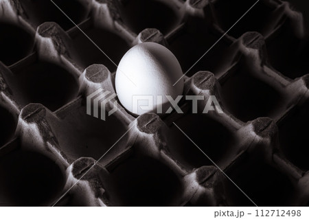 Breakfast - only one last remaining chicken egg in the fridge. Contrast shadows, black and white image. 112712498