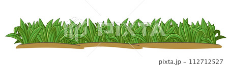 Cartoon style grass clump for foreground decoration isolated on white background illustration Cartoon style grass clump for foreground decoration isolated on white background illustration 112712527