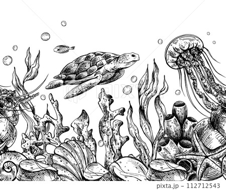 Underwater world clipart with sea animals whale, turtle, octopus, seahorse, starfish, shells, coral and algae. Graphic illustration hand drawn in black ink. Seamless border EPS vector. 112712543
