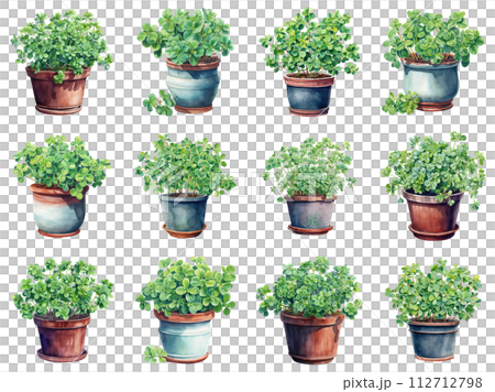 Vibrant Clover Greenery Decor 112712798