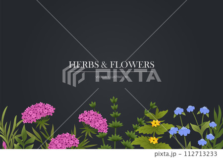 Hand drawn herbal plants banner. Luxury botanical background with trendy wildflowers and minimalist flowers for wall decoration or wedding. Hand drawn herbal plants banner. Luxury botanical background with trendy wildflowers and minimalist flowers for wall decoration or wedding. 112713233