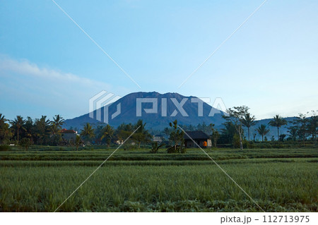 Panorama of Mount Agung and rice fields on the island of Bali. View of the mountain against a background of palm trees and a cornfield. Panorama of Agung volcano covered with clouds on a sunny day. 112713975