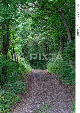 緑に囲まれた道 緑に囲まれた道 112714090