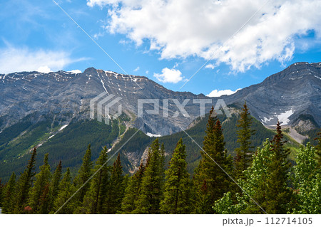The rocky mountains of Alberta are surrounded by coniferous forests on a sunny summer day 112714105