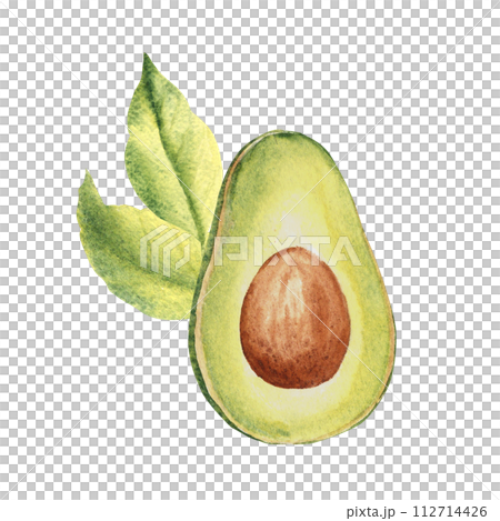 Avocado half fruit with leaves. Hand drawn botanical watercolor illustration on white background. 112714426