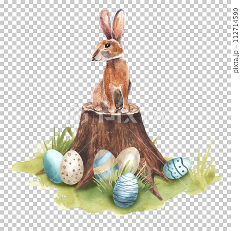 Bunny on the tree stump. Hand drawn illustration. Cute bunny sitting on the tree stump, in green grass, forest. woodland scene. White background. Easter eggs at the bottom 112714590