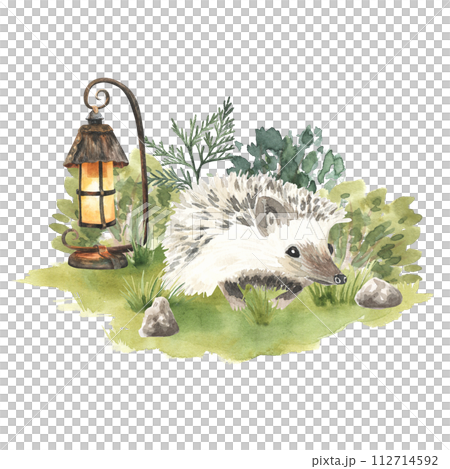 Watercolor illustration of a cute hedgehog standing on grass with lantern . Perfect for woodland greeting cards . Hand drawn illustration. 112714592