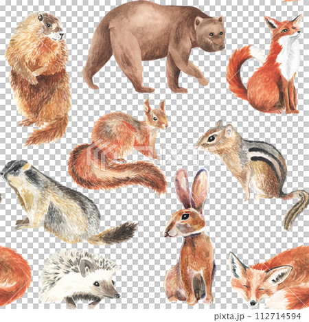 Cute squirrel, groundhog, bear, fox, hare, hedgehog, chipmunk. Forest little animals repeat seamless pattern. Watercolor hand paint illustration. Ideal wallpaper or baby fabric design. 112714594