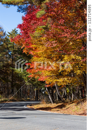 秋の長野　紅葉見頃の奥蓼科　横谷渓谷（横谷峡） 112714895