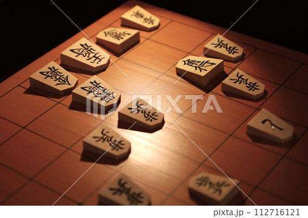 将棋（第49期棋王戦第4局投了棋譜） 112716121