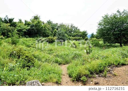 小谷城跡御馬屋 112716231