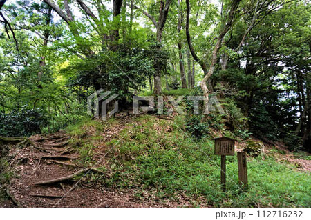 小谷城跡大堀切 小谷城跡大堀切 112716232