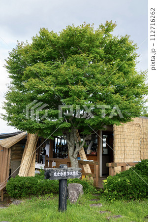 大山鬼女台展望休憩所にて 112716262