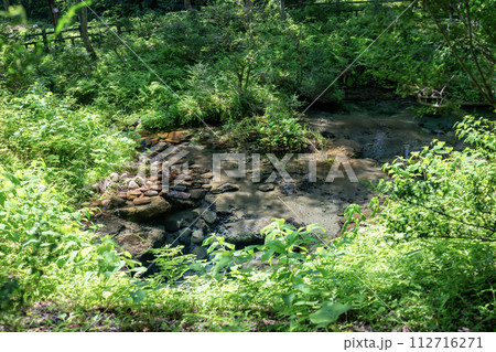 蒜山塩釜の冷泉の水 112716271