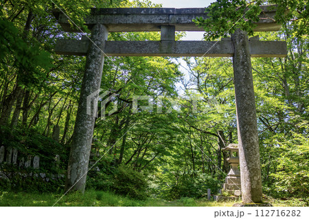 森の中の小さな鳥居 森の中の小さな鳥居 112716282