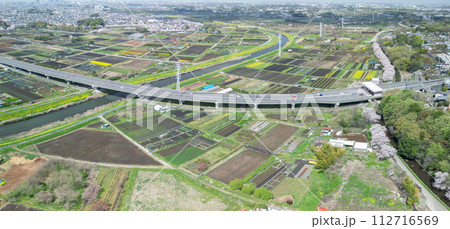 「埼玉県」ドローンで上空から望む新見沼大橋付近の春風景 112716569