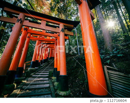 伏見稲荷大社　京都　鳥居 112716604