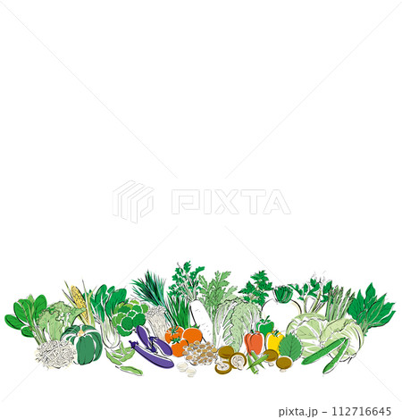 横長に置かれた野菜の集合イラスト 横長に置かれた野菜の集合イラスト 112716645