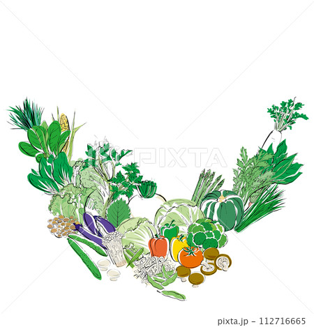 v型に置かれた野菜の集合イラスト v型に置かれた野菜の集合イラスト 112716665