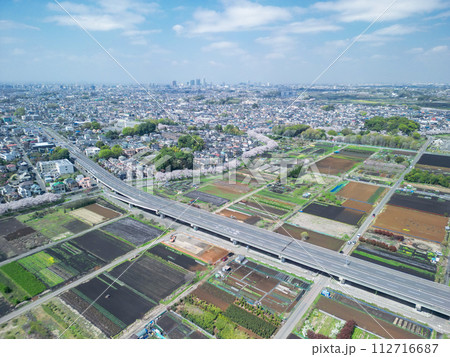 「埼玉県」見沼田んぼの春風景　ドローンで望む新見沼大橋有料道路付近 112716687