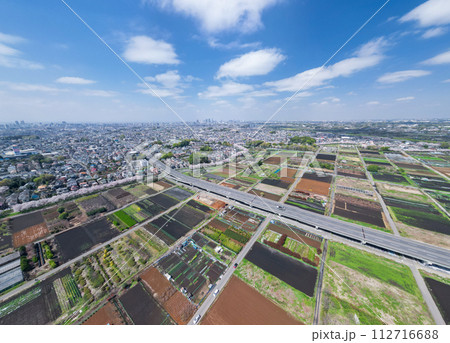 「埼玉県」見沼田んぼの春風景　ドローンで望む新見沼大橋有料道路付近 112716688