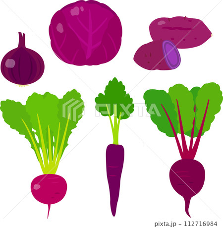 紫色の野菜のイラストセット 112716984