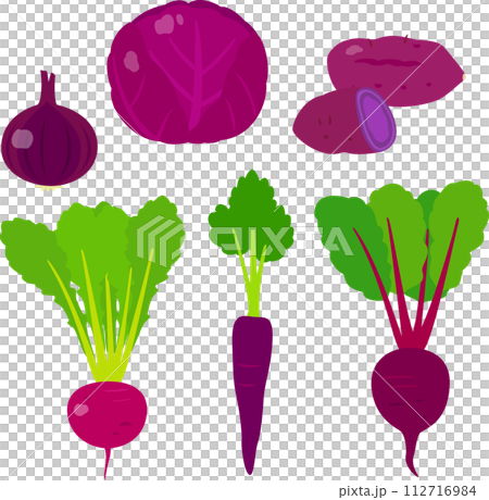 紫色の野菜のイラストセット 112716984