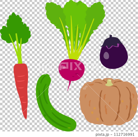 日本の伝統野菜 112716991