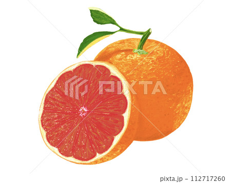 ピンクグレープフルーツ（カット斜め） 112717260