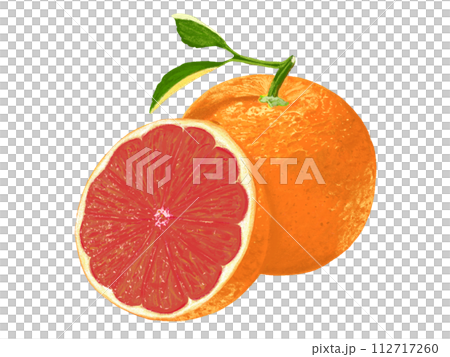 ピンクグレープフルーツ（カット斜め） 112717260