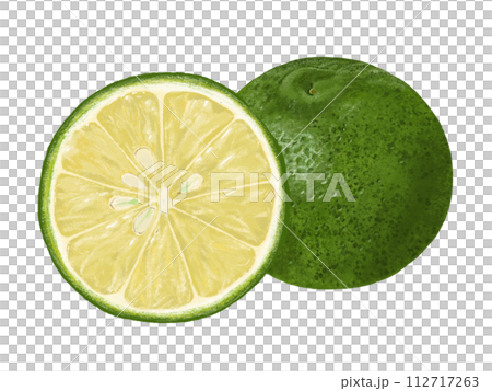 Kabosu(1 件和橫切面) Kabosu(1 件和橫切面) 112717263