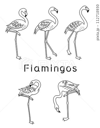 フラミンゴの絵 45x53cm F10号 フラミンゴ【原画 L版 色鉛筆画