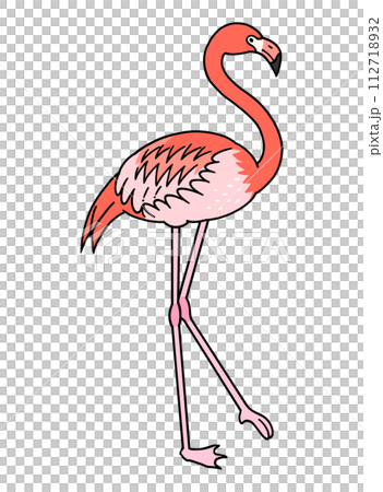 Hand drawn flamingo illustration material Hand drawn flamingo illustration material 112718932