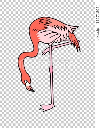 Hand drawn flamingo illustration material Hand drawn flamingo illustration material 112718934
