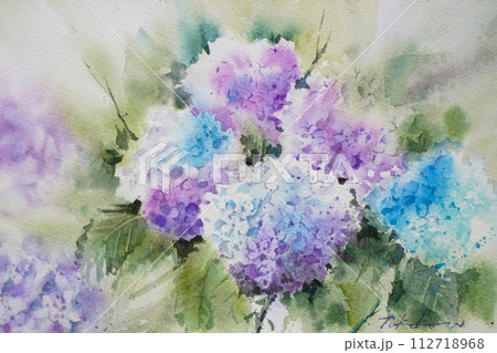アジサイ 水彩画 アジサイ 水彩画 112718968